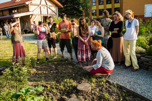 Ecological communities