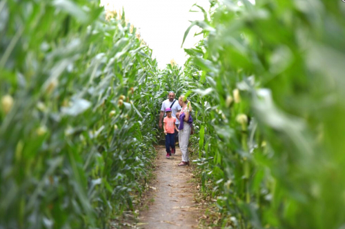 Atrakcie, ktoré prekvapia