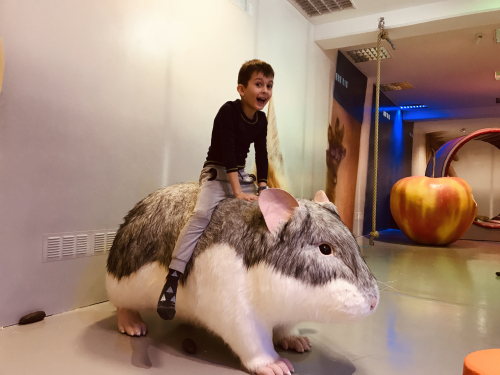 Atrakcie: Ilúzia a virtuálna realita